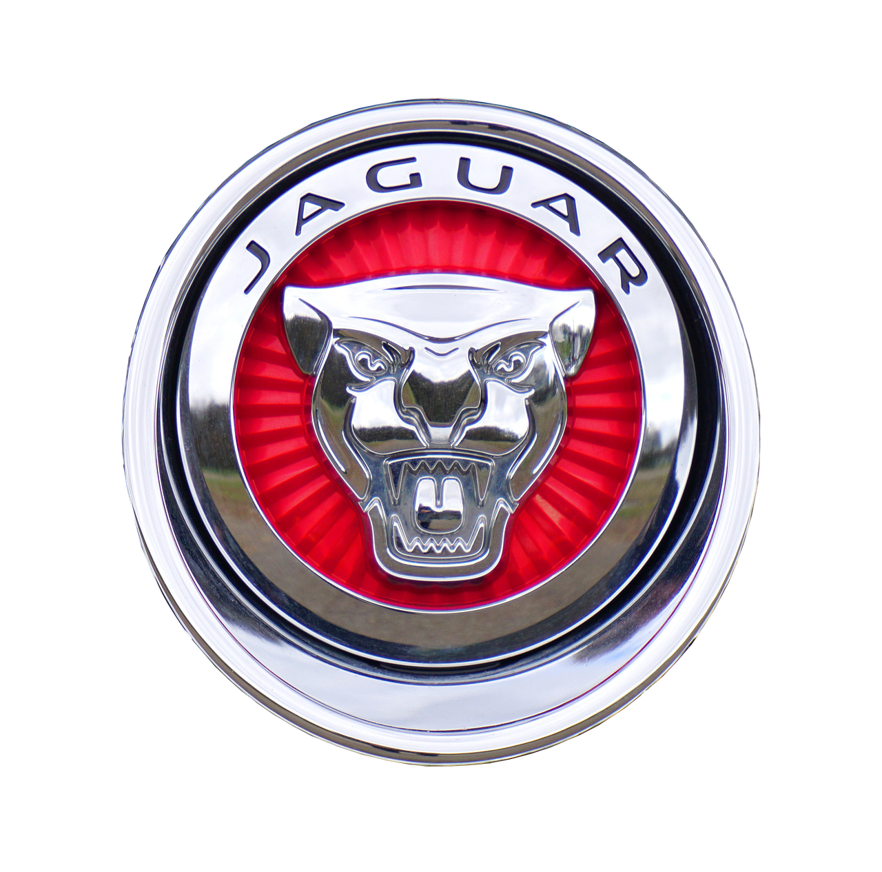 Airport pickup in Jaguar